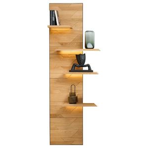 Linea Natura NÁSTĚNNÝ PANEL, černá, divoký dub obraz