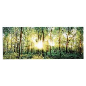 Euroart OBRAZ NA SKLE, krajina a příroda, 125/50 cm obraz