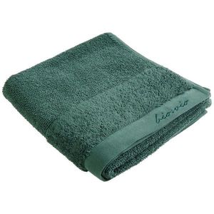 Bio: Vio RUČNÍK, 50/100 cm, tmavě zelená obraz