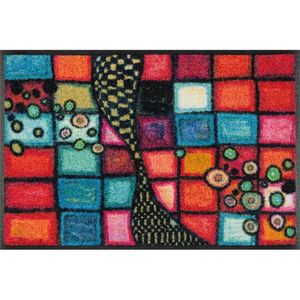 wash+dry DVEŘNÍ ROHOŽKA, 40/60 cm obraz