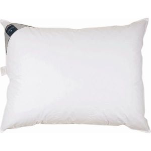 Billerbeck POLŠTÁŘ POD HLAVU, 40/80 cm obraz