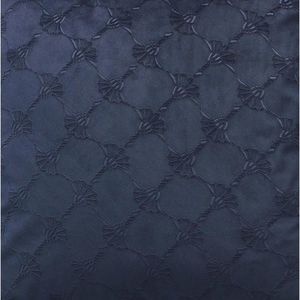 Joop! POTAH NA POLŠTÁŘ 45/45 cm obraz