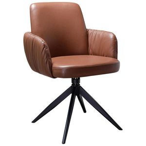 Moderano ŽIDLE S PODRUČKAMI, železo, černá, koňaková obraz