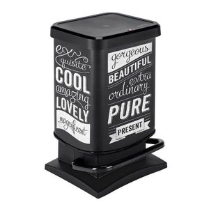 Rotho ODPADKOVÝ KOŠ 40 l obraz