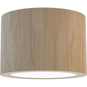 STROPNÍ BODOVÉ SVÍTIDLO, 12/8 cm obraz