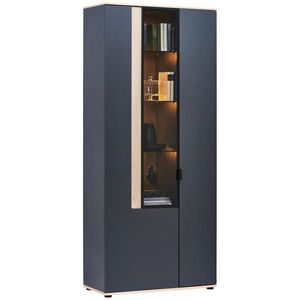 Dieter Knoll VITRÍNA, antracitová, barvy dubu, 93, 2/213, 1/42 cm obraz