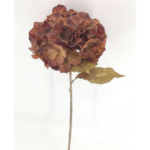 DEKORAČNÍ KYTICE obraz