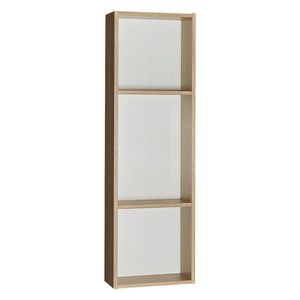 Dieter Knoll NÁSTĚNNÝ REGÁL, barvy dubu obraz