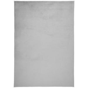 Novel KOBEREC S VYSOKÝM VLASEM, 130/190 cm, barvy stříbra obraz