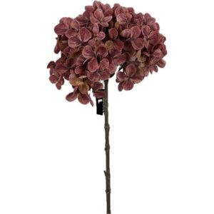 DEKORAČNÍ KYTICE obraz