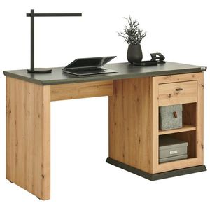 Hom`in PSACÍ STŮL obraz