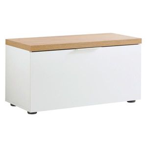 Xora BOTNÍK S LAVICÍ, 80/42/38 cm obraz