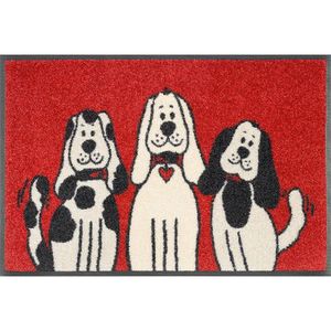 Esposa DVEŘNÍ ROHOŽKA, 40/60 cm, červená, černá, bílá obraz