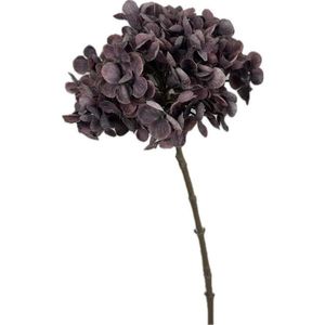 DEKORAČNÍ KYTICE obraz