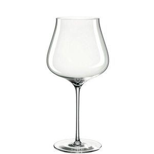 Leonardo SKLENICE NA BURGUNDSKÉ obraz