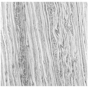 Jangal AKUSTICKÝ PANEL velikost: 52/52/0.7 cm obraz