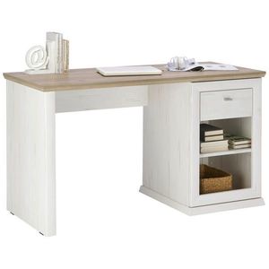 Hom`in PSACÍ STŮL obraz