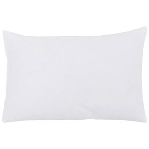 Boxxx VÝPLŇ POLŠTÁŘE 40/60 cm obraz