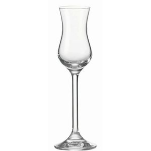 Leonardo SKLENICE NA DIGESTIV obraz