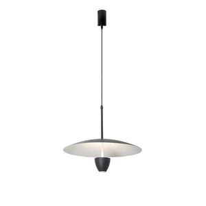 ZÁVĚSNÉ LED SVÍTIDLO, 8 W, 30/120 cm obraz