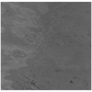 Jangal AKUSTICKÝ PANEL velikost: 52/52/0.7 cm obraz