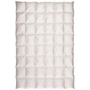 Centa-Star CELOROČNÍ PŘIKRÝVKA, 155/220 cm, prachové peří obraz