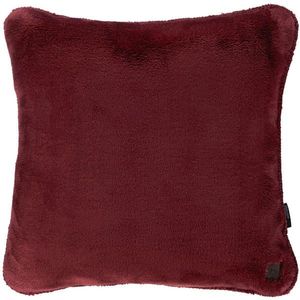 Dieter Knoll POTAH NA POLŠTÁŘ 48/48 cm obraz