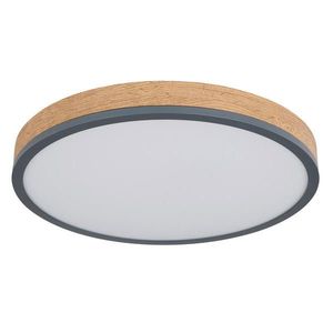 Novel STROPNÍ LED SVÍTIDLO, 45/8, 5 cm obraz