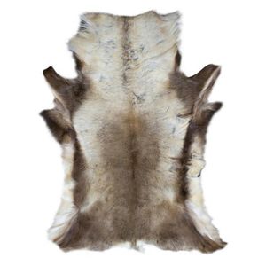 IMITACE SOBÍ KOŽEŠINY, 115/90 cm, béžová obraz