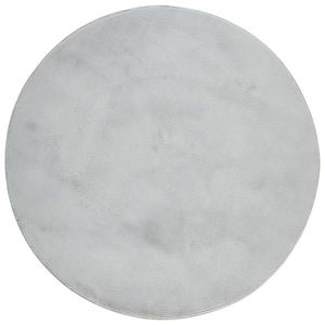 Novel KOBEREC S VYSOKÝM VLASEM, 120 cm barvy stříbra obraz