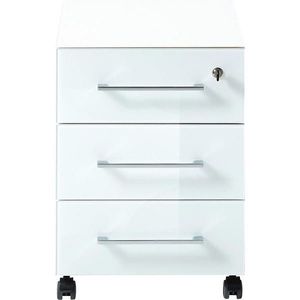 Novel POJÍZDNÝ KONTEJNER, 40/55/50 cm obraz