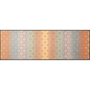 wash+dry BĚHOUN, 60/180 cm, vícebarevná obraz