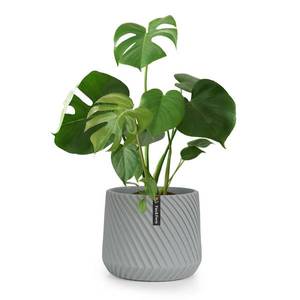 Fox & Fern Heusden, květináč, Polystone, vhodný pro rostliny, ruční výroba obraz