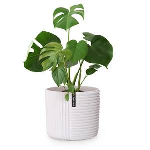 Fox & Fern Květináč Hasselt z polystonu, ručně vyrobený, vhodný pro rostliny ve 3D vzhledu. obraz