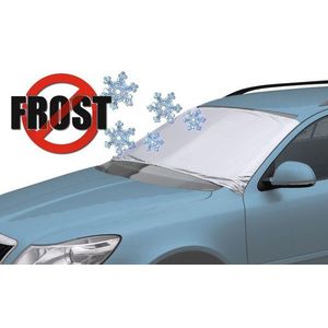 Compass clona na čelní sklo FROST obraz