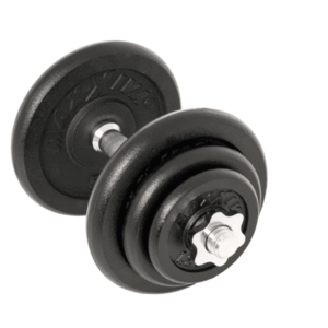 Sada činek MAXXIVA, litinová, 6 kotoučů, 20 kg obraz