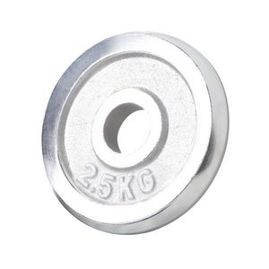 Gorilla Sports Zátěžový kotouč, chromovaný, 2, 5 kg obraz