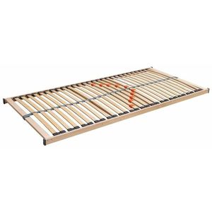 Kasvo BALISTIC 5V rošt (ur basic natur 5V) obraz