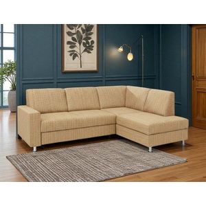 Kasvo FAMILY ROH+0 scotler béž obraz