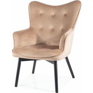 Kasvo KAREN (CARMEN) VELVET židle jídelní bluvel 03 světle šedá obraz