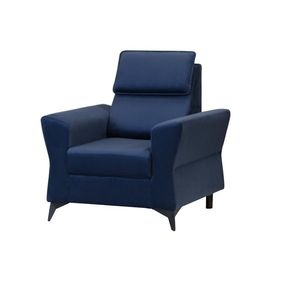 Kasvo BOLIVIA křeslo Element 11 obraz