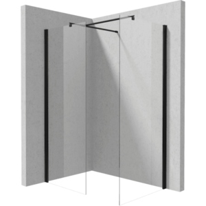 DEANTE/S Kout walk-in (dvě pevné stěny: 100/100) KTS_N30P+KTS_N30P KERRIA/0668 obraz