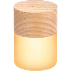 Světelná dekorace na USB v přírodní barvě ø 4, 5 cm Lemelia – Gingko obraz