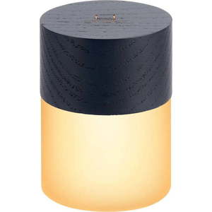 Černá světelná dekorace na USB ø 4, 5 cm Lemelia – Gingko obraz