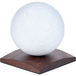 Tmavě hnědá světelná dekorace na USB ø 12 cm Smart LunaSpin – Gingko obraz