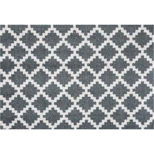 Šedá rohožka Zala Living Elegance, 50 x 70 cm obraz