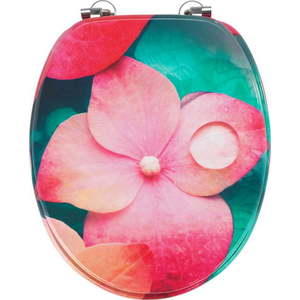 Záchodové prkénko 37, 5 x 44 cm Flower – Allstar obraz