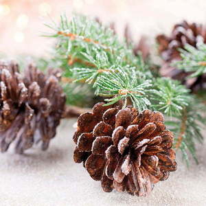 Ubrousky v sadě 20 ks 33x33 cm Noel – Homéa obraz