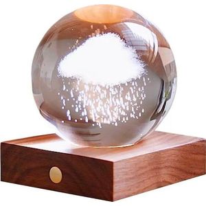 Tmavě hnědá světelná dekorace na USB Amber – Gingko obraz