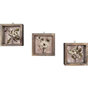 Sada 3 nástěnných obrazů Vintage, 15 x 15 cm obraz